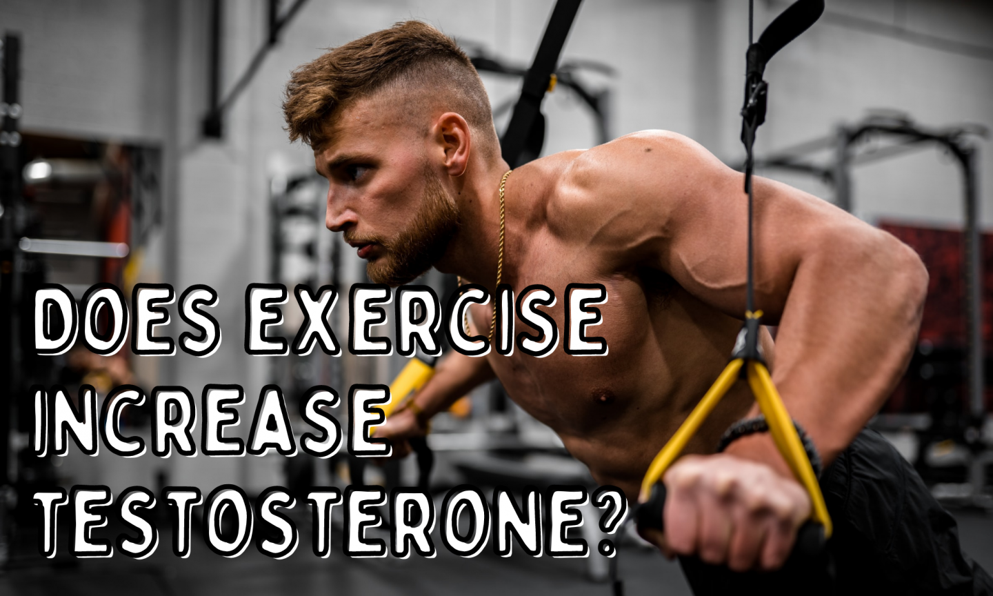 Does exercise increase testosterone?