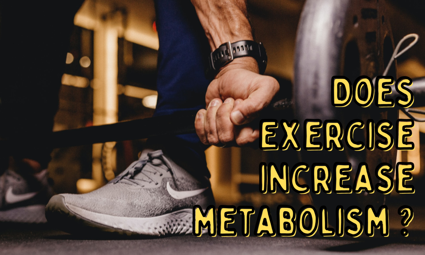 Does Exercise Increase Metabolism? Nxtep Personal Training